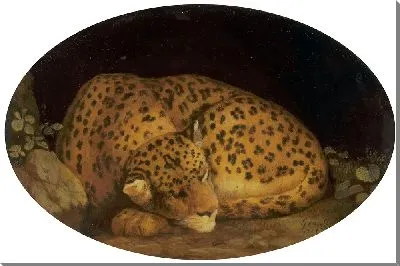 Картина Спящий леопард