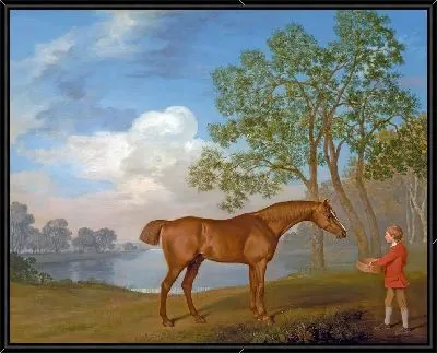 Картина Тыква с конюхом