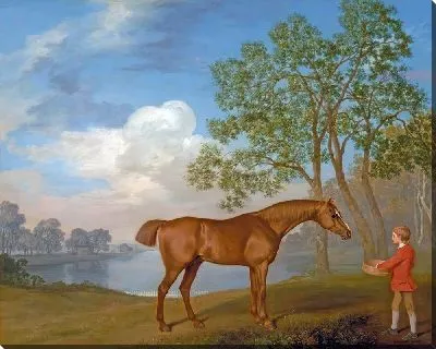 Картина Тыква с конюхом