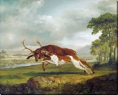 Гончая, преследующая оленя
