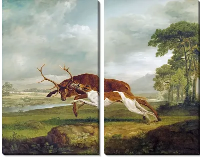 Гончая, преследующая оленя