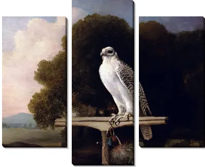 Картина Гренландский сокол