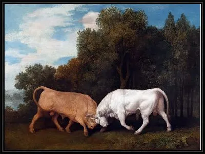 Картина Бой быков