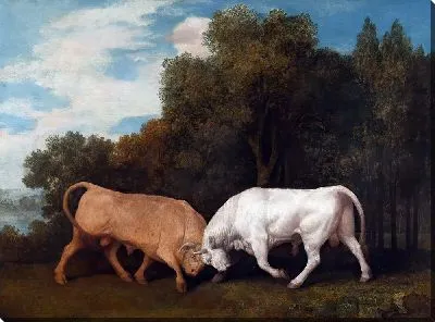 Картина Бой быков