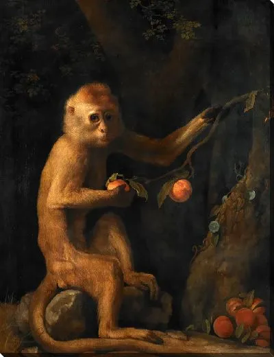 Картина Обезьяна