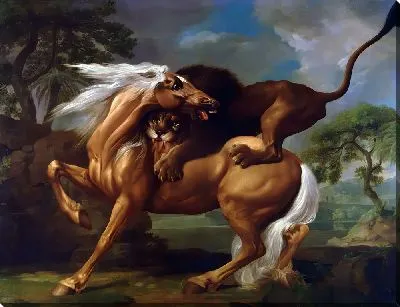 Лев нападает на лошадь