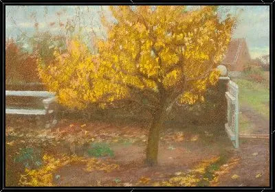 Грушевое дерево, осень