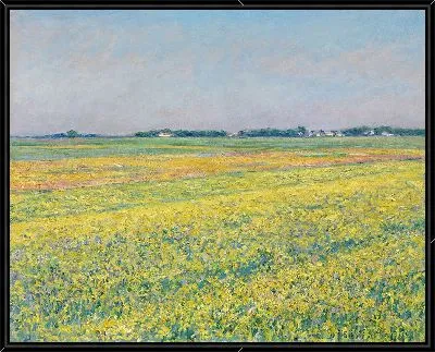 Равнина Женвилье, желтые поля