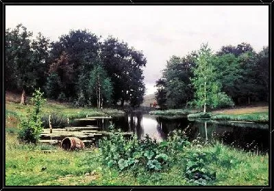 Пруд (Pond) №9