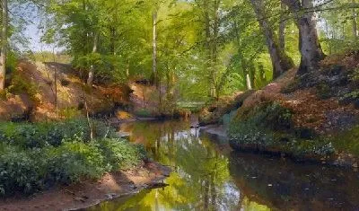 Река в лесу (The river in the woods) №4