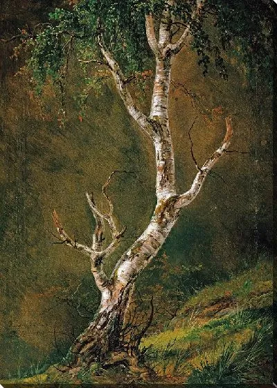 Картина Этюд березы