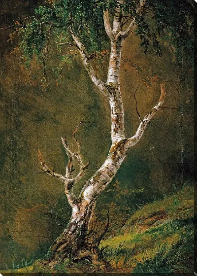 картина