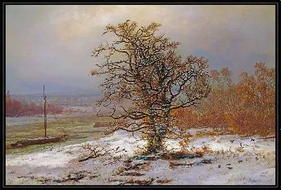 Дуб у Эльбы зимой