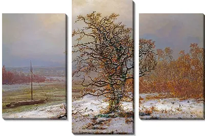 Дуб у Эльбы зимой