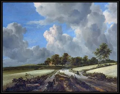 Пшеничные поля