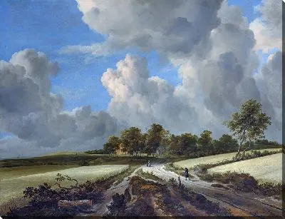 Пшеничные поля