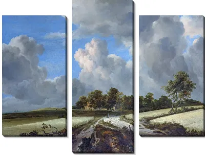 Пшеничные поля