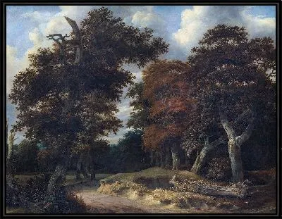 Дорога через дубовый лес