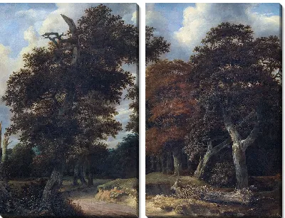 Дорога через дубовый лес