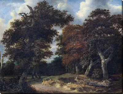 Картина Дорога через дубовый лес