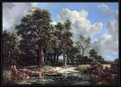 Опушка леса с пшеничным полем