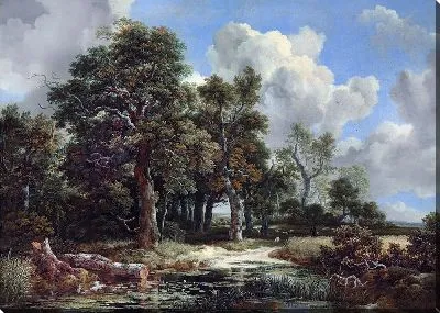 Опушка леса с пшеничным полем