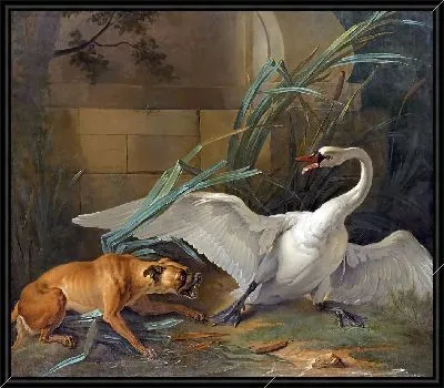 Собака напала на лебедя