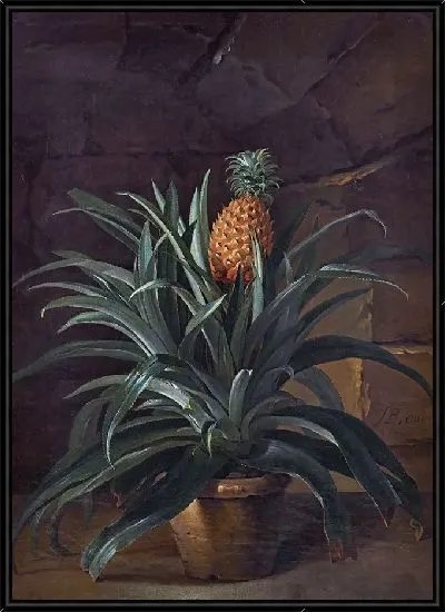 Картина Ананас в горшочке