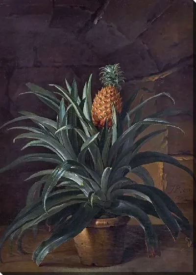 Картина Ананас в горшочке