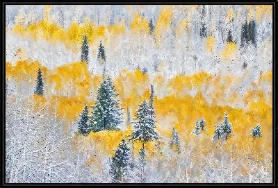 Осенне-зимний лес