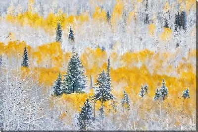 Картина маслом Осенне-зимний лес