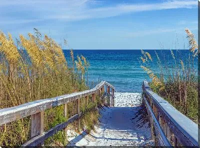 Картина маслом Быстрее к морю