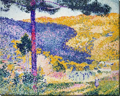 Долина с пихтой (Тень на горе)