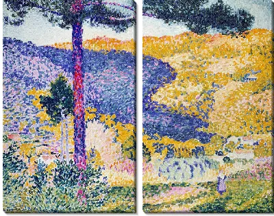 Долина с пихтой (Тень на горе)