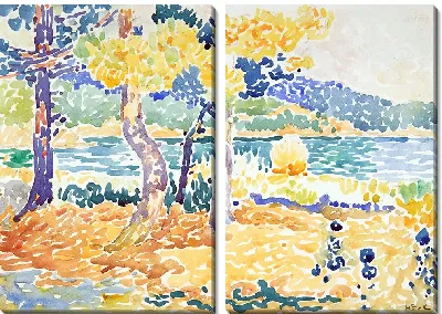 Сосны на побережье