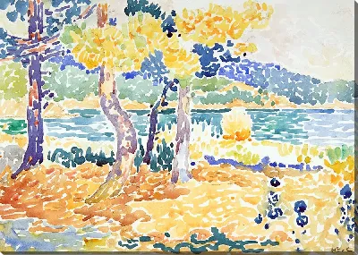 Сосны на побережье