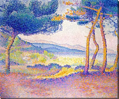 Сосны вдоль берега