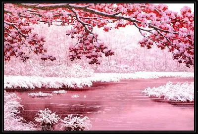 Рябина (Rowan)