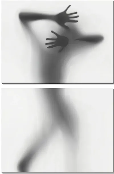 Модульная картина Силуэт обнаженной девушки за стеклом №5