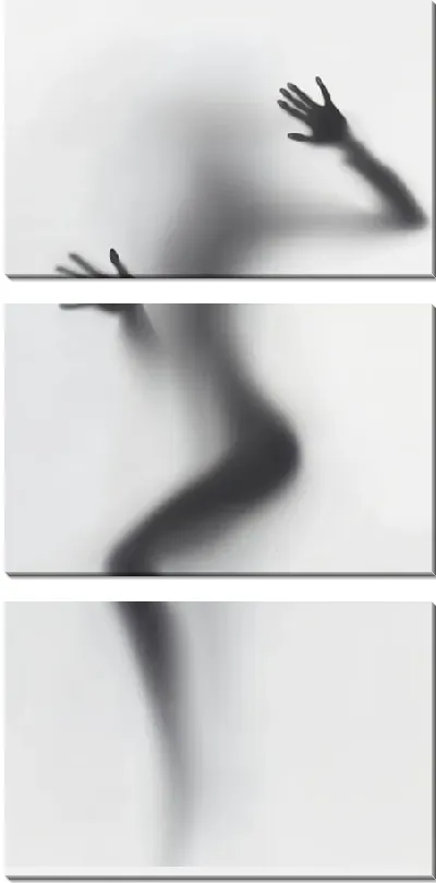 Модульная картина Силуэт обнаженной девушки за стеклом №6