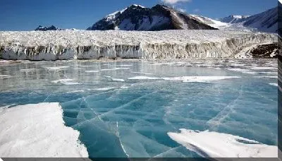 Постер Антарктика (Antarctica)