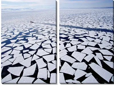 Модульная картина Антарктика (Antarctica) №2