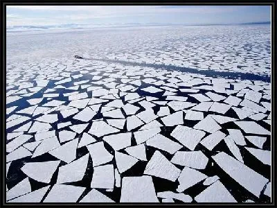 Картина Антарктика (Antarctica) №2