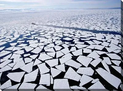 Постер Антарктика (Antarctica) №2