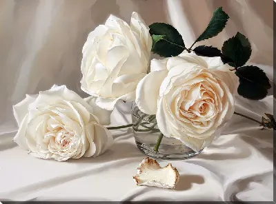 Постер Белые розы №33
