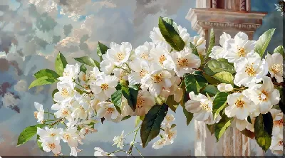 Постер Белые цветы №16