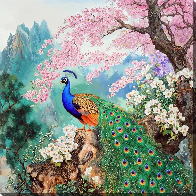 Постер Павлин №14