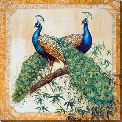 Два павлина