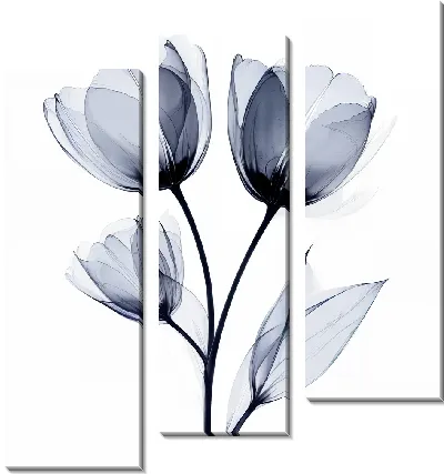 Полупрозрачный черный цветок №6