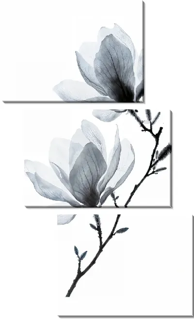 Модульная картина Полупрозрачный черный цветок №14